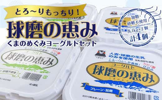 【順次配送】ヨーグル党総選挙 ム党の部 2年連続の第2位受賞！とろ～りもっちり!球磨の恵みヨーグルトセット(加糖・砂糖不使用各1kgx2個 計4個)