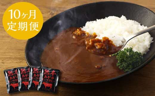 【10ヶ月定期便】熊本県産あか牛使用 くまもとあか牛 ビーフカレー 4人前 計640g(160g×4袋)