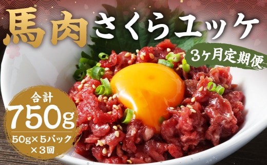 【3ヶ月 定期便】馬肉 さくらユッケ 250g(50g × 5)合計 750g 熊本 桜ユッケ ユッケ 馬 馬ユッケ くまもと 小分け 赤身 国産