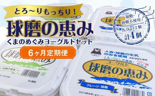 【6ヶ月定期便】とろ～りもっちり!球磨の恵みヨーグルトセット(加糖・砂糖不使用各1kgx2個 計4個)計24kg