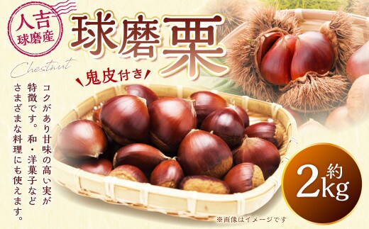 球磨栗(鬼皮付き) 2kg【2026年9月下旬-10月下旬発送予定】 栗 和栗 果物 フルーツ お菓子 おつまみ 秋 国産 熊本県 湯前町