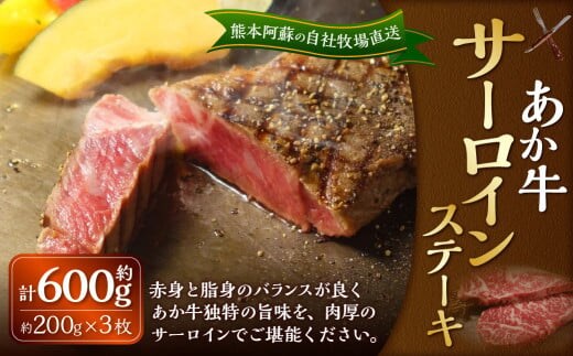 あか牛 サーロインステーキ 約600g(あか牛サーロインステーキ 約200g×3枚) 肉 お肉 牛肉 和牛 褐毛和種 国産 九州産 冷凍 熊本県 湯前町