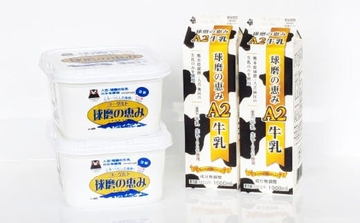 球磨の恵み「A2牛乳」と「球磨の恵みヨーグルト(加糖)｣ セット 生乳 乳製品 カゼイ菌 ぎゅうにゅう ミルク