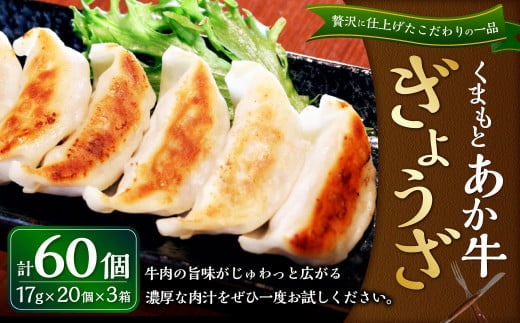 熊本和牛 あか牛ぎょうざ 60個(あか牛ぎょうざ20個入り×3箱) 餃子 和牛 国産 九州産 惣菜 冷凍 熊本県 湯前町