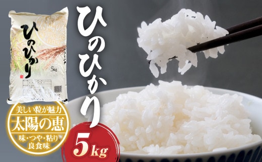 【令和7年産】ヒノヒカリ 5kg×1袋 米 お米 精米 白米 ごはん ご飯 【2026年10月下旬迄発送予定】