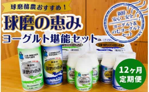 【12ヶ月定期便】球磨の恵みヨーグルト堪能セット