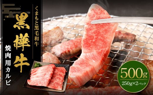 黒樺牛 焼肉用カルビ 500g (250g×2パック) 黒毛和牛 焼き肉 牛肉 冷凍