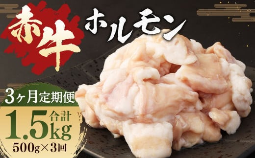 【3ヶ月 定期便】赤牛 ホルモン 500g(250g × 2パック) 合計 1.5kg あか牛 熊本県産 牛肉 牛 牛ホルモン 国産 熊本 肉 もつ モツ もつ鍋 焼き肉 焼肉