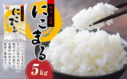 【令和7年産】にこまる5kg×1袋 米 お米 精米 白米 ごはん ご飯 【2026年10月下旬迄発送予定】