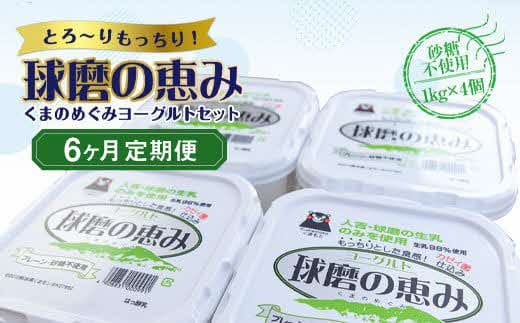 【6ヶ月定期便】球磨の恵みヨーグルトセット（砂糖不使用1kg×4個）計24kg