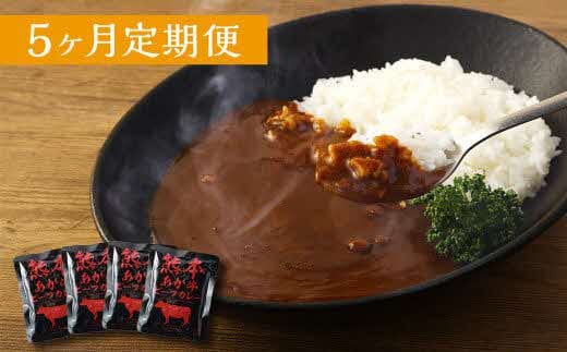 【5ヶ月定期便】熊本県産あか牛使用 くまもとあか牛 ビーフカレー 4人前 計640g(160g×4袋)