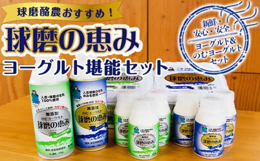 【順次発送】球磨酪農おすすめ！球磨の恵みヨーグルト堪能セット