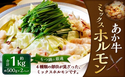 熊本和牛 あか牛ホルモン 1kg(500g×2パック)和牛 ホルモン ミックス ミックスホルモン モツ 国産 九州産 惣菜 冷凍 熊本県 湯前町