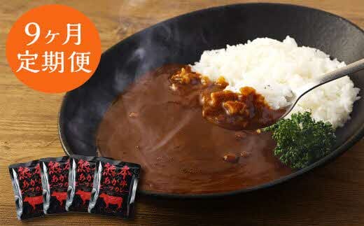【9ヶ月定期便】熊本県産あか牛使用 くまもとあか牛 ビーフカレー 4人前 計640g(160g×4袋)