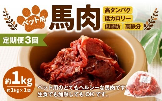 【3回定期便】ペット用馬肉 約1kg×1袋 合計約3kg ペットフード 馬 肉 高タンパク 低カロリー