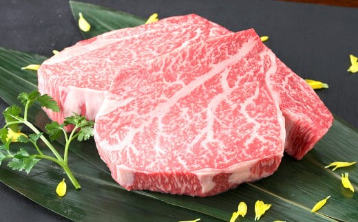 熊本県産 黒毛和牛 ヒレステーキ 400g (200g×2パック) 国産 熊本 和牛 牛肉 牛 ヒレ ステーキ 肉 お肉 冷凍