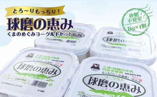 【順次発送】ヨーグル党総選挙 ム党の部 第2位受賞！球磨の恵みヨーグルトセット(砂糖不使用1kg×4個)