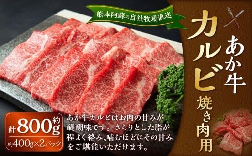 あか牛 カルビ 焼き肉用 約800g(あか牛バラカルビ 約400g×2パック) 肉 お肉 牛肉 和牛 褐毛和種 国産 九州産 冷凍 熊本県 湯前町