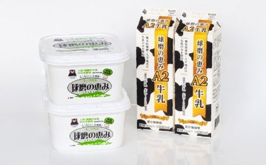 球磨の恵み「A2牛乳」と「球磨の恵みヨーグルト(砂糖不使用)｣ セット 生乳 乳製品 カゼイ菌 ぎゅうにゅう ミルク