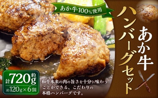 あか牛100% ハンバーグセット(あか牛ハンバーグ 120g×6個)合計720g 和牛 国産 九州産 惣菜 冷凍 熊本県 湯前町