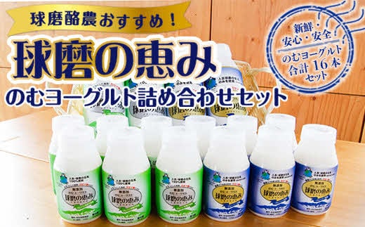 【順次発送】球磨の恵みのむヨーグルト詰め合わせセット