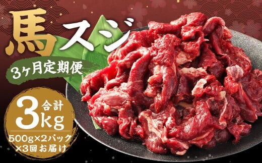 【3ヶ月 定期便】馬スジ 1kg(500g × 2パック) 合計 3kg 熊本県産 馬肉 馬 スジ スジ肉 国産 熊本 肉 すじ すじ肉 馬すじ