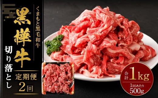 【2回定期便】 黒樺牛 切り落とし500g (500g×1パック) 計1000g 黒毛和牛 牛肉 切り落とし肉 冷凍