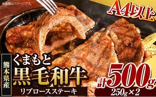 くまもと黒毛和牛 リブロースステーキ 500g(250g×2) 牛肉 冷凍 《30日以内に出荷予定(土日祝除く)》くまもと黒毛和牛 黒毛和牛 冷凍庫 個別 取分け 小分け 個包装 ステーキ肉 にも リブロースステーキ---ym_fribu_30d_r7_16000_500g---