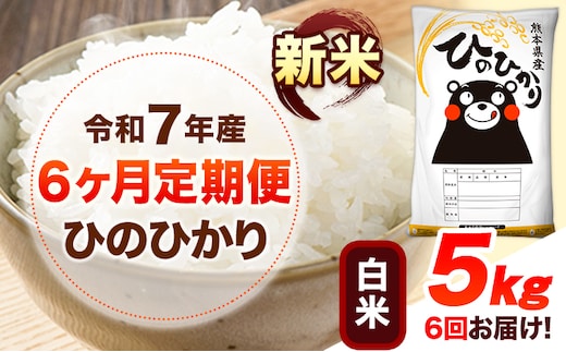 新米 令和7年産 【6ヶ月定期便】 白米 ひのひかり 5kg 《お申込み翌月から出荷》 熊本県産 白米 精米 ひの 送料無料 熊本県 山江村 SDGs 米 コメ こめ 国産---hn7tei_87000_5kg_mo6_ym_h---