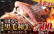 くまもと黒毛和牛 サーロインステーキ 500g(250g×2) 牛肉 冷凍 《30日以内に出荷予定(土日祝除く)》くまもと黒毛和牛 黒毛和牛 冷凍庫 個別 取分け 小分け 個包装 ステーキ肉 にも サーロインステーキ---ym_fsaro_30d_r7_16000_500g---