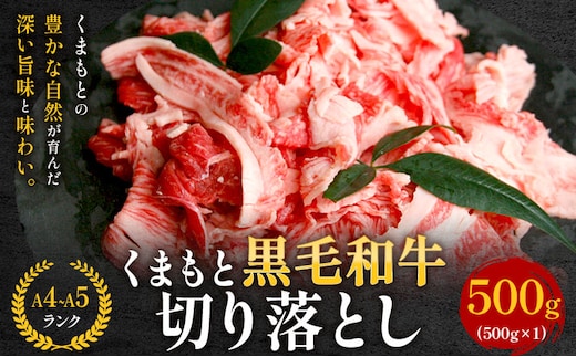 【A4～A5】くまもと黒毛和牛 切り落とし 500g 《30日以内に出荷予定(土日祝除く)》 牛肉 くまもと黒毛和牛 黒毛和牛 冷凍庫 切り落とし---sy_fespkiri_30d_r7_11500_500g---