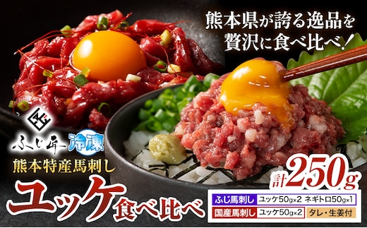熊本 特産 馬刺し ユッケ 食べ比べ セット 250g ふじ馬刺し 国産馬刺し《30日以内に出荷予定(土日祝除く)》熊本県 山江村 くまもと黒毛和牛 黒毛和牛 冷凍 馬肉 馬刺し 馬 ユッケ ネギトロ たれ 生姜付き 送料無料---sy_ffujibyk_30d_15000_250g_cp---