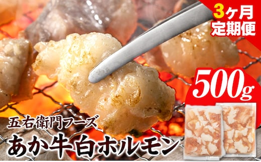 あか牛 白ホルモン 1.5kg 3ヶ月定期便 五右衛門フーズ 《お申込み月の翌月から出荷開始》 熊本県 球磨郡 山江村 牛肉 肉 国産 熊本県産 ブランド牛 絶品 贅沢 高級 あか牛 ホルモン もつ モツ もつ鍋---sy_fgoeaksrhrtei_r7_40000_500g_mo3---