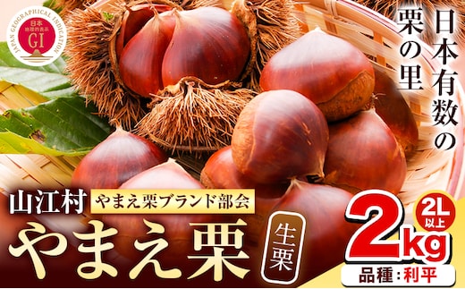 GI認証登録 山江村の やまえ栗 生栗 2kg 品種 利平 やまえ栗ブランド部会 有限会社やまえ堂《9月下旬-10月中旬頃出荷》熊本県 球磨郡 山江村 栗 くり フルーツ 熊本県産 果物 早期 予約---sy_ymkuri_h9_21500_rihei2kg_cp---