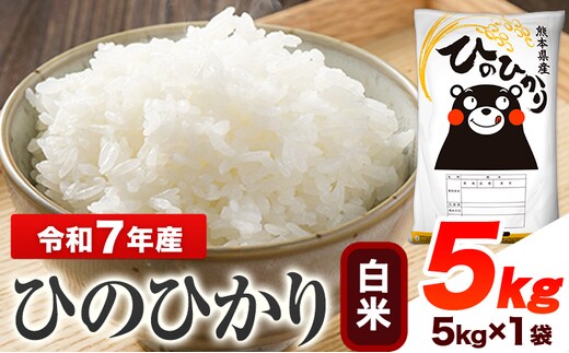 新米 令和7年産 【2ヶ月定期便】 白米 ひのひかり 5kg 《お申し込み月の翌月から出荷開始》 熊本県産 無洗米 白米 精米 ひの 送料無料 熊本県 山江村 SDGs むせんまい 米 コメ こめ 国産---hn7tei_29000_5kg_mo2_ym_h---