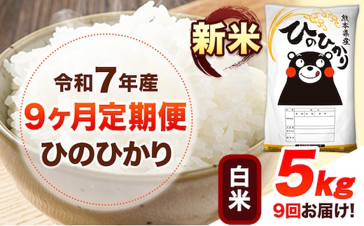 新米 令和7年産 【9ヶ月定期便】 白米 ひのひかり 5kg 《お申し込み月の翌月から出荷開始》 熊本県産 無洗米 白米 精米 ひの 送料無料 熊本県 山江村 SDGs むせんまい 米 コメ こめ 国産---hn7tei_130500_5kg_mo9_ym_h---