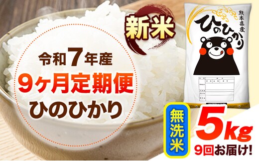 新米 令和7年産 【9ヶ月定期便】 無洗米 ひのひかり 5kg 《お申し込み月の翌月から出荷開始》 熊本県産 無洗米 白米 精米 ひの 送料無料 熊本県 山江村 SDGs むせんまい 米 コメ こめ 国産---hn7tei_130500_5kg_mo9_ym_m---