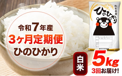 令和7年産 【3ヶ月定期便】 白米 ひのひかり 5kg 《お申込み翌月から出荷》 熊本県産 白米 精米 ひの 送料無料 熊本県 山江村 SDGs 米 コメ こめ 国産---hn7tei_43500_5kg_mo3_ym_h---