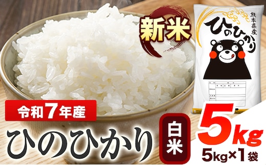 新米 令和7年産 ひのひかり 白米 5kg 《7-14日以内に出荷予定(土日祝除く)》 熊本県産 白米 精米 ひの 送料無料 熊本県 山江村---ym_hn7_wx_14500_5kg_h---