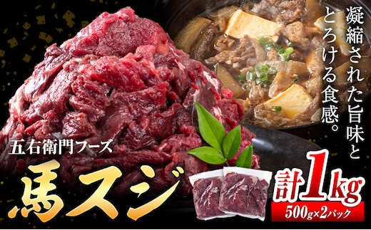 馬肉 馬スジ 500g × 2パック 1kg 五右衛門フーズ 《60日以内に出荷予定(土日祝除く)》 熊本県 球磨郡 山江村 馬肉 肉 国産 スジ カレー 煮込み おでん おかず 送料無料---sy_fgoeumsj_60d_r7_14000_1kg---