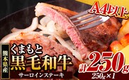 くまもと黒毛和牛 サーロインステーキ 250g(250g×1) 牛肉 冷凍 《30日以内に出荷予定(土日祝除く)》くまもと黒毛和牛 黒毛和牛 冷凍庫ステーキ肉 にも サーロインステーキ---ym_fsaro_30d_r7_9500_250g---