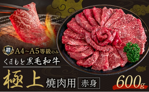 黒毛和牛 くまもと黒毛和牛 A4-A5等級 赤身 焼肉用 600g 牛肉《30日以内に出荷予定(土日祝除く)》焼肉 焼き肉---yme_lcl_807_600g---