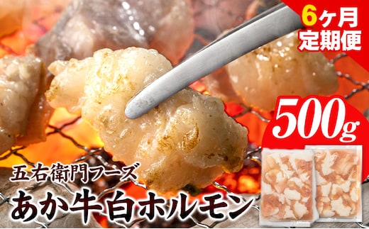 あか牛 白ホルモン 3kg 6ヶ月定期便 五右衛門フーズ 《お申込み月の翌月から出荷開始》 熊本県 球磨郡 山江村 牛肉 肉 国産 熊本県産 ブランド牛 絶品 贅沢 高級 あか牛 ホルモン もつ モツ もつ鍋---sy_fgoeaksrhrtei_r7_80000_500g_mo6---