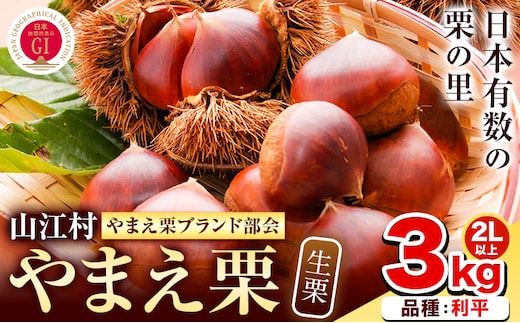 GI認証登録 山江村の やまえ栗 生栗 3kg 品種 利平 やまえ栗ブランド部会 有限会社やまえ堂《9月下旬-10月中旬頃出荷》熊本県 球磨郡 山江村 栗 くり フルーツ 熊本県産 果物 早期 予約---sy_cymkuri_h9_30500_rihe3kg_cp---
