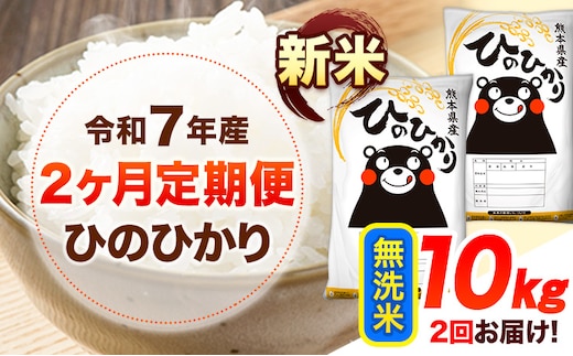 新米 令和7年産 【2ヶ月定期便】 無洗米 ひのひかり 10kg 《お申し込み月の翌月から出荷開始》 熊本県産 無洗米 白米 精米 ひの 送料無料 熊本県 山江村 SDGs むせんまい 米 コメ こめ 国産---hn7tei_51000_10kg_mo2_ym_m---