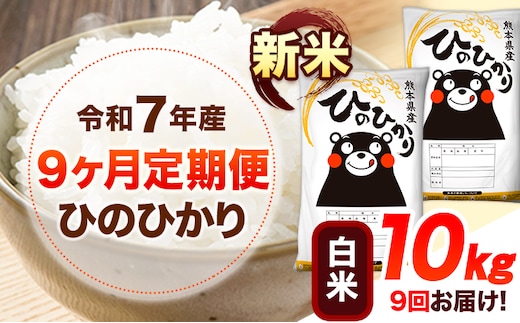 新米 令和7年産 【9ヶ月定期便】 白米 ひのひかり 10kg 《お申し込み月の翌月から出荷開始》 熊本県産 無洗米 白米 精米 ひの 送料無料 熊本県 山江村 SDGs むせんまい 米 コメ こめ 国産---hn7tei_229500_10kg_mo9_ym_h---