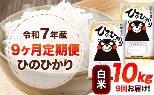 令和7年産 【9ヶ月定期便】 白米 ひのひかり 10kg 《お申し込み月の翌月から出荷開始》 熊本県産 無洗米 白米 精米 ひの 送料無料 熊本県 山江村 SDGs むせんまい 米 コメ こめ 国産---hn7tei_229500_10kg_mo9_ym_h---