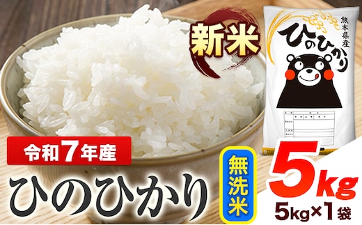 新米 令和7年産 ひのひかり 無洗米 5kg 《7-14日以内に出荷予定(土日祝除く)》 熊本県産 無洗米 精米 ひの 送料無料 熊本県 山江村---ym_hn7_wx_14500_5kg_m---