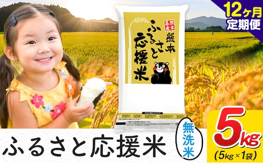 米 無洗米 家庭用 熊本 ふるさと応援【12ヶ月定期便】米 5kg 5kg×1袋《お申込み翌月から出荷》 熊本県産 白米 精米 山江村 ブレンド米 国産 おうちご飯 むせんまい お米---ym_youenmimtei_5kg_162000_mo12---