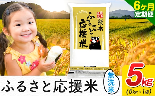 米 無洗米 家庭用 熊本 ふるさと応援【6ヶ月定期便】米 5kg 5kg×1袋《お申込み翌月から出荷》 熊本県産 白米 精米 山江村 ブレンド米 国産 おうちご飯 むせんまい お米---ym_youenmimtei_5kg_81000_mo6---